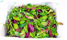 Pflcksalat